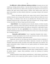 Komandinis darbas, privalumai ir trūkumai 12 puslapis