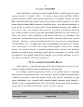 Komandinis darbas, privalumai ir trūkumai 16 puslapis