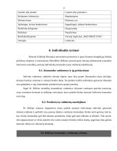 Komandinis darbas, privalumai ir trūkumai 17 puslapis