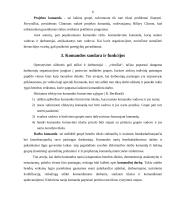 Komandinis darbas, privalumai ir trūkumai 6 puslapis