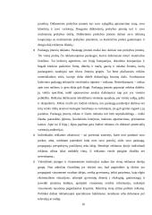 Reklamos verslas 16 puslapis