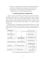 Reklamos verslas 6 puslapis