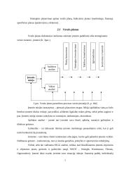 Reklamos verslas 7 puslapis