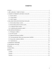 Veiklos analizė: APB "Apranga" 2 puslapis