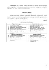 Veiklos analizė: APB "Apranga" 12 puslapis