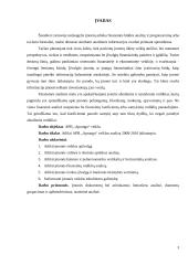 Veiklos analizė: APB "Apranga" 3 puslapis