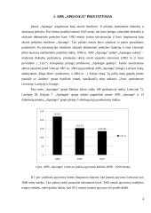 Veiklos analizė: APB "Apranga" 4 puslapis