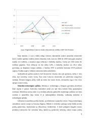 Veiklos analizė: APB "Apranga" 6 puslapis