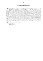 TCP/IP protokolų šeima 8 puslapis