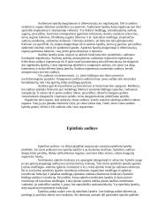 Ląsteliniai ir neląsteliniai audiniai 2 puslapis