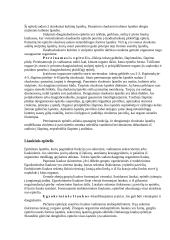 Ląsteliniai ir neląsteliniai audiniai 7 puslapis