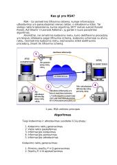 Duomenų kodavimas: RSA 2 puslapis