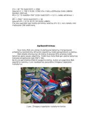 Duomenų kodavimas: RSA 7 puslapis