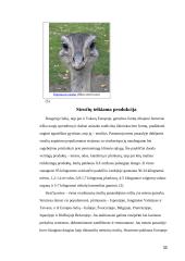 Stručių genetiniai ištekliai Lietuvoje ir pasaulyje 11 puslapis