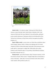 Stručių genetiniai ištekliai Lietuvoje ir pasaulyje 7 puslapis