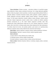 Tradicinės ir naujosios viešosios vadybos lyginamoji analizė 3 puslapis