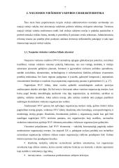 Tradicinės ir naujosios viešosios vadybos lyginamoji analizė 7 puslapis