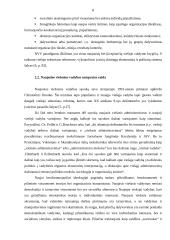 Tradicinės ir naujosios viešosios vadybos lyginamoji analizė 8 puslapis