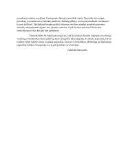 M. Martinaitis "Nežinomo dailininko paveikslas" 2 puslapis