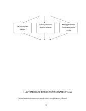 Automobilio "Daewoo Kalos S" kėbulo priekinių dešinės pusės durų remonto technologijos vertinimas 17 puslapis