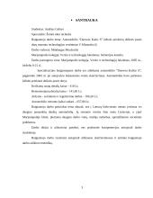 Automobilio "Daewoo Kalos S" kėbulo priekinių dešinės pusės durų remonto technologijos vertinimas 2 puslapis