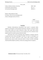 Balso serverių technologijų analizė 2 puslapis