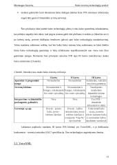 Balso serverių technologijų analizė 13 puslapis