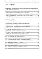 Balso serverių technologijų analizė 7 puslapis