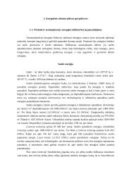 Buitinių vartotojų energijos rūšies pakeitimo techninės ir ekonominės sąlygos 4 puslapis