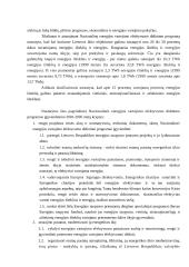 Buitinių vartotojų energijos rūšies pakeitimo techninės ir ekonominės sąlygos 8 puslapis