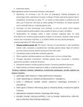 Vertybinių popierių rinkos 15 puslapis