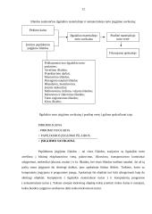 Įmonės ekonominė veikla: UAB "Biovela" 11 puslapis