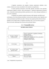 Įmonės ekonominė veikla: UAB "Biovela" 12 puslapis