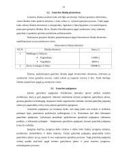 Įmonės ekonominė veikla: UAB "Biovela" 13 puslapis