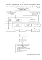 Įmonės ekonominė veikla: UAB "Biovela" 17 puslapis