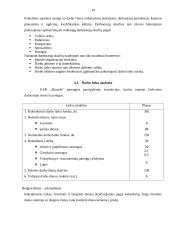 Įmonės ekonominė veikla: UAB "Biovela" 18 puslapis