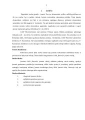 Įmonės ekonominė veikla: UAB "Biovela" 2 puslapis