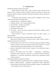 Įmonės ekonominė veikla: UAB "Biovela" 20 puslapis