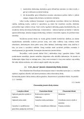 Įmonės ekonominė veikla: UAB "Biovela" 6 puslapis