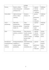 Marketingo komplekso vertinimas: krovinių pervežimas UAB "Sinėjas" 11 puslapis