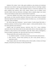 Marketingo komplekso vertinimas: krovinių pervežimas UAB "Sinėjas" 17 puslapis