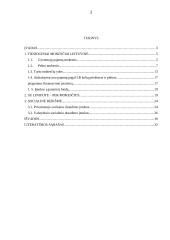 Tiesioginiai mokesčiai Lietuvoje, jų fiskalinė ir socialinė reikšmė 2 puslapis