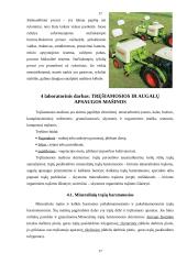 Skirtingos žemės ūkio mašinos 17 puslapis