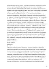 Mokomosios praktikos ataskaita: finansinės veiklos organizavimas UAB "Vaidva" 12 puslapis