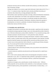 Mokomosios praktikos ataskaita: finansinės veiklos organizavimas UAB "Vaidva" 13 puslapis