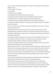 Mokomosios praktikos ataskaita: finansinės veiklos organizavimas UAB "Vaidva" 16 puslapis