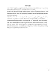 Mokomosios praktikos ataskaita: finansinės veiklos organizavimas UAB "Vaidva" 18 puslapis