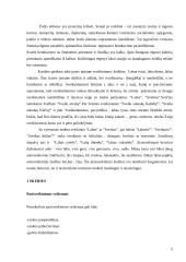 Mandagumo raiška lietuvių kalboje 4 puslapis