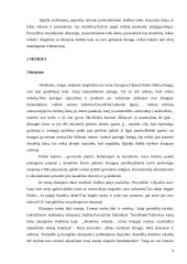 Mandagumo raiška lietuvių kalboje 8 puslapis