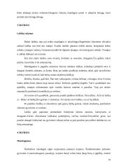 Mandagumo raiška lietuvių kalboje 9 puslapis